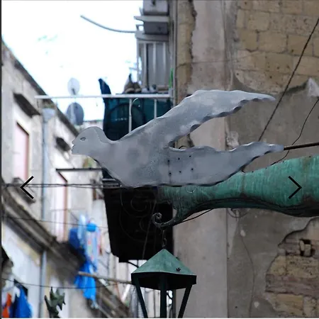 Dimora Danicla Neapol